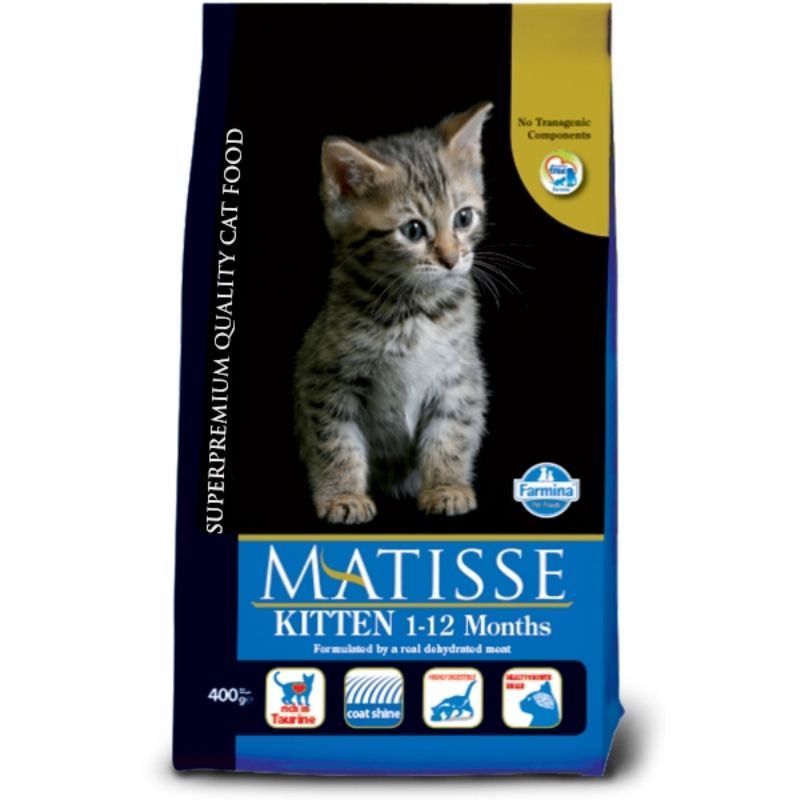 Maine Coon Cat Food Nutrition for Majestic Maine Coons Petsy Online