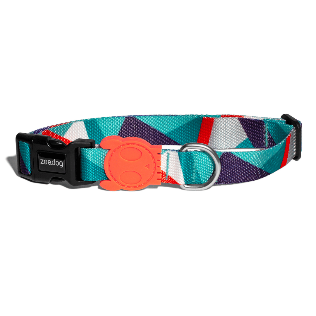 Zee shop dog collar