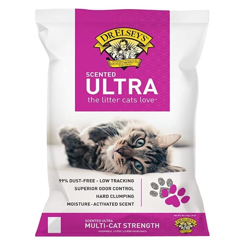 Cheap cat 2025 litter online