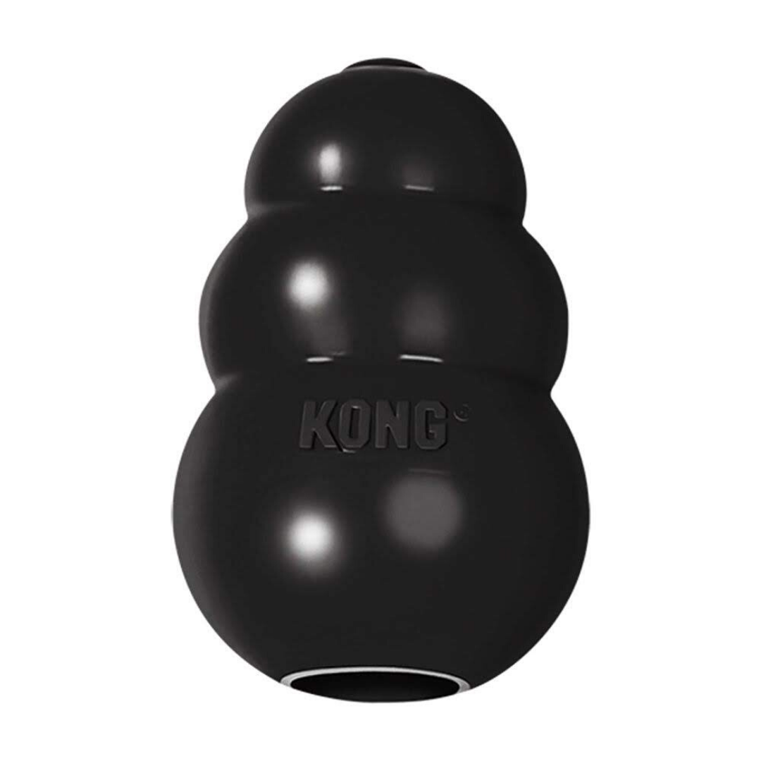 Buy KONG Extreme at Lowest Prices In India Petsy.Online