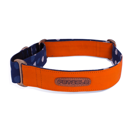 PetWale Martingale Collar - Orange and Blue