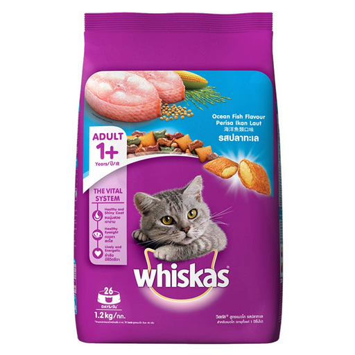 Cat Supplies Buy Cat Food Acceession at Best Prices Petsy