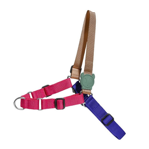 ZeeDog Soft-Walk Harness for Dogs - Yucca