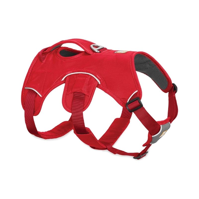 Buy Ruffwear Harnesses for Dogs Web Master at Lowest Prices