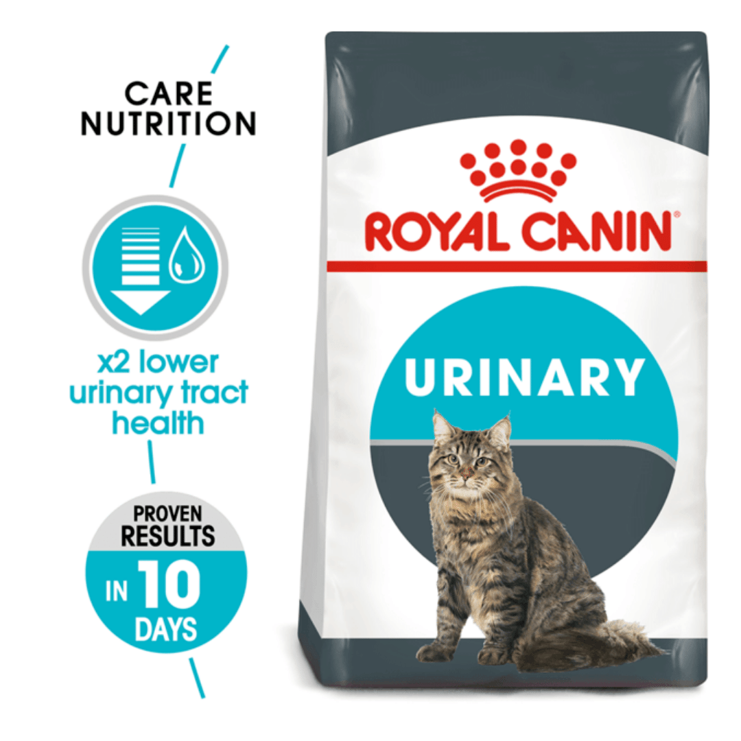 Best urinary cat food dry best sale