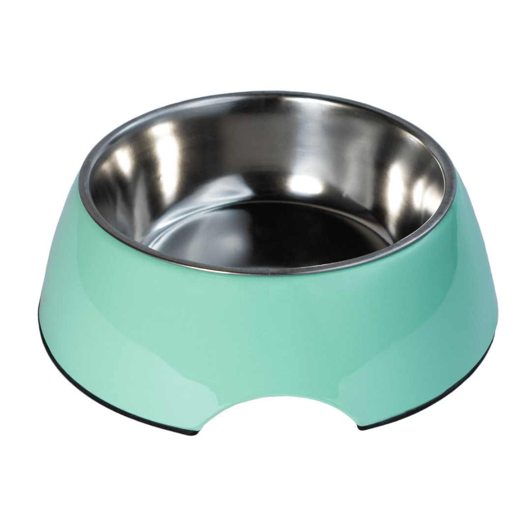 Petsy Pet Water & Food Bowl - Mint Green