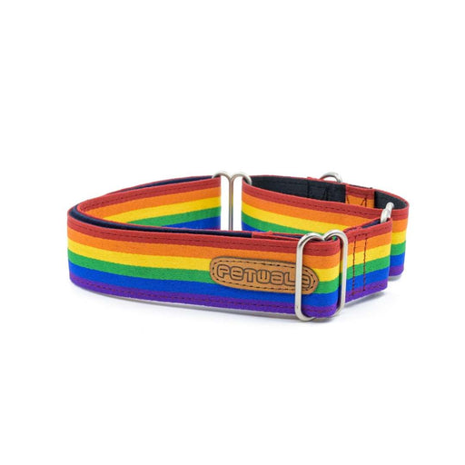 PetWale Martingale Collar - Pride