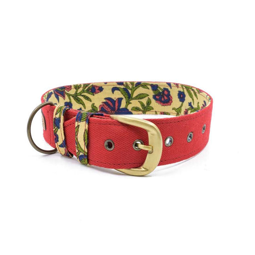 PetWale Belt Collar - Red Belt