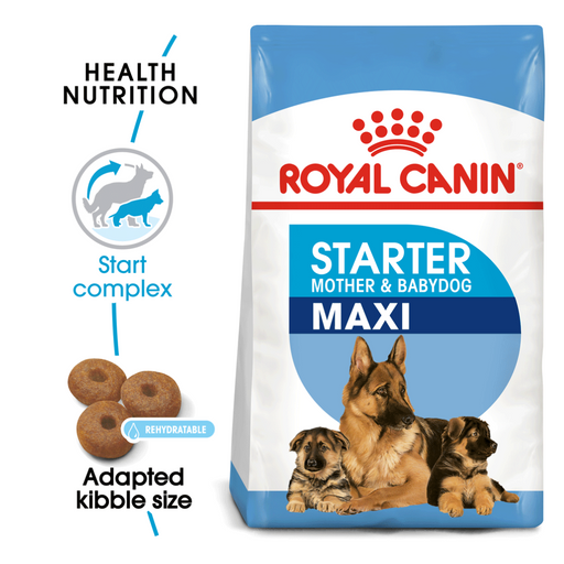 Royal Canin Maxi Starter Mother & Babydog Dry Dog Food