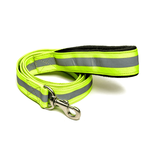 PetWale Leash - Reflective Green