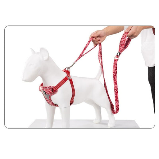 True Love Floral Leashes for Dogs - Poppy Red