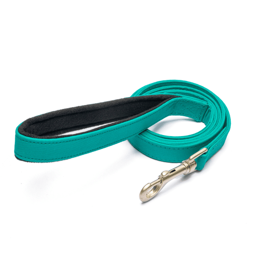 PetWale Leash - Turquoise