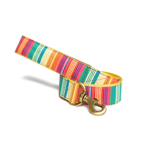 PetWale Leash - Colourful Stripes