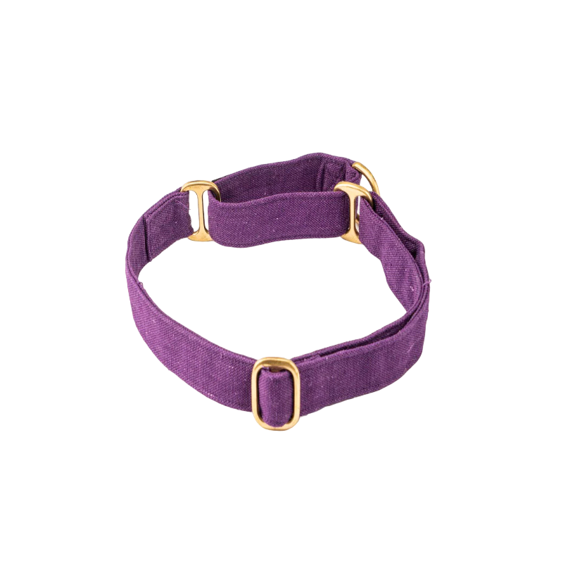 Furbuddies Martingale Collar For Dogs - Amethyst Dream Purple Canvas