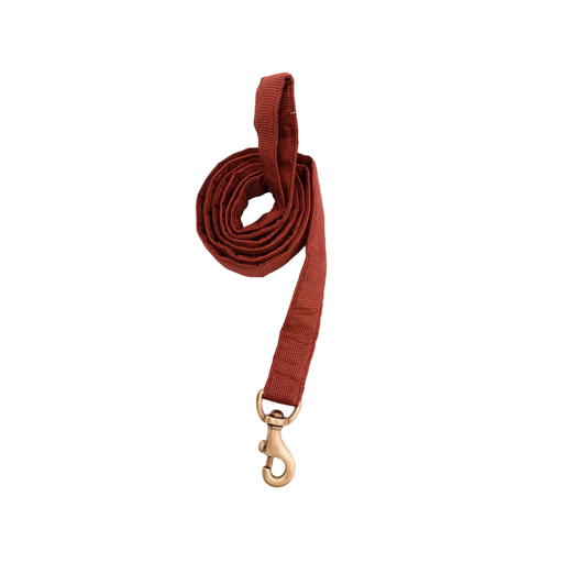 Furbuddies Leash For Dogs - Brick Orange Canvas (5ft)