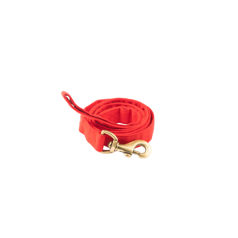 Furbuddies Leash For Dogs - Candy Apple Red Canvas