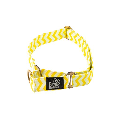 Furbuddies Martingale Collar For Dogs - Citrus Chevron Canvas