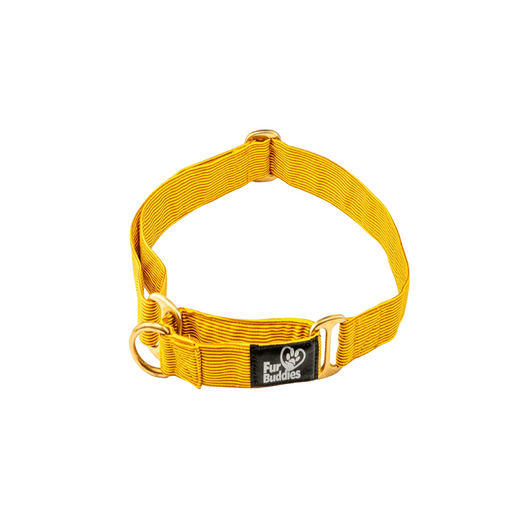 Furbuddies Martingale Collar For Dogs - Dandelion Yellow Canvas