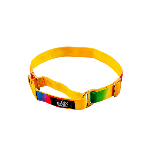 Furbuddies Martingale Collar For Dogs - Firdouz