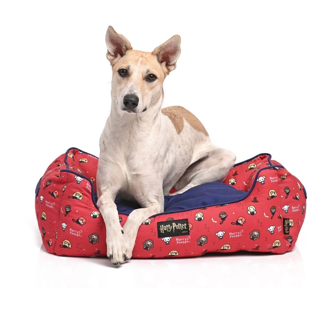 Mutt of Course Stylish and Functional Products for Dogs Petsy