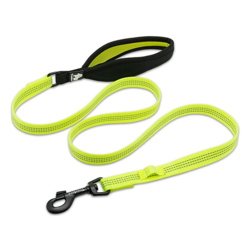 True Love Leashes for Dogs - Nylon