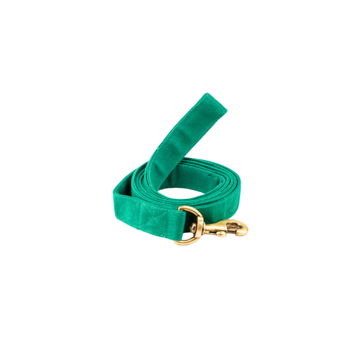 Furbuddies Leash For Dogs - Pine Green Canvas (5ft)