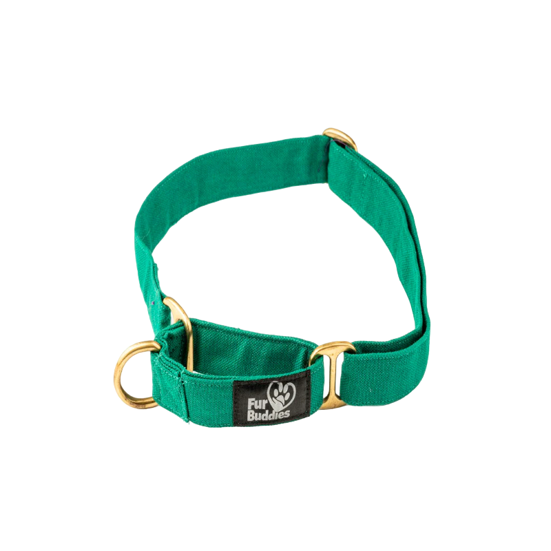 Furbuddies Martingale Collar For Dogs - Pine Green Canvas