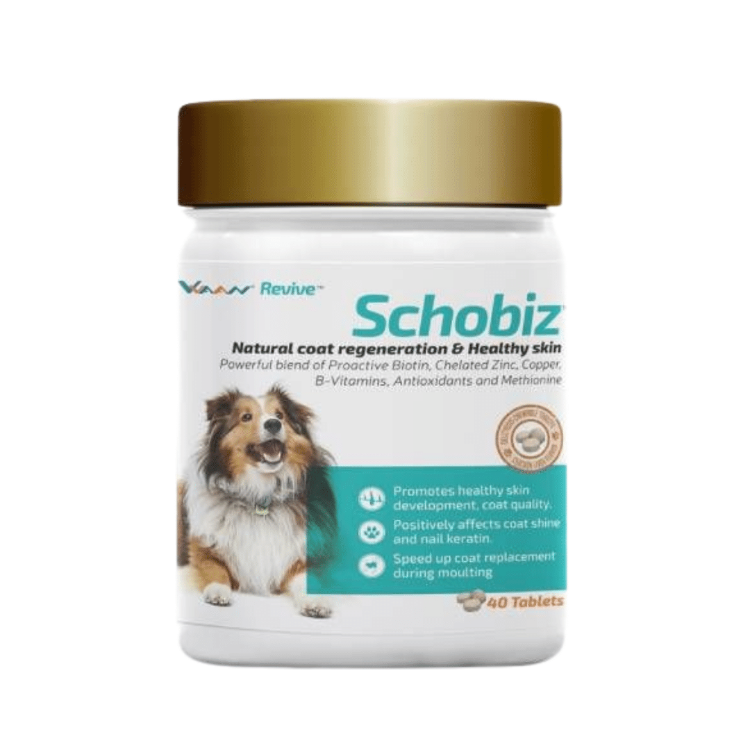 Biotin for hotsell dogs skin