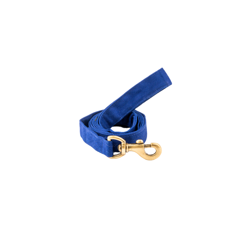 Furbuddies Leash For Dogs - Royal Azure Blue Canvas