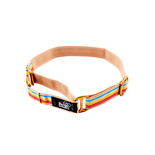 Furbuddies Martingale Collar For Dogs - Satrangi