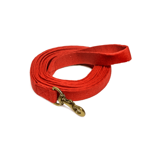 PetWale Long Lead Cotton Red