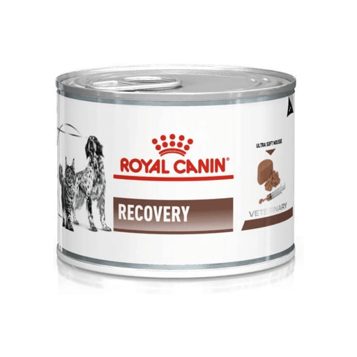 Royal Canin Vet Diet - Wet Cat & Dog Food - Recovery - 195g