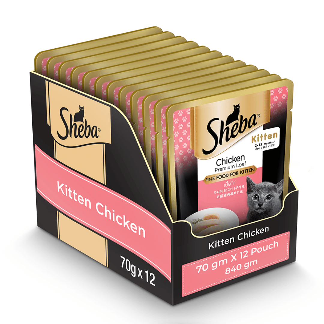 Buy Sheba Premium Wet Cat Food Chicken Loaf for Kittens Pack of