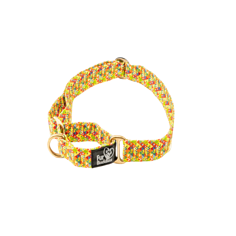 Furbuddies Martingale Collar For Dogs - Viva La Vibrance Canvas