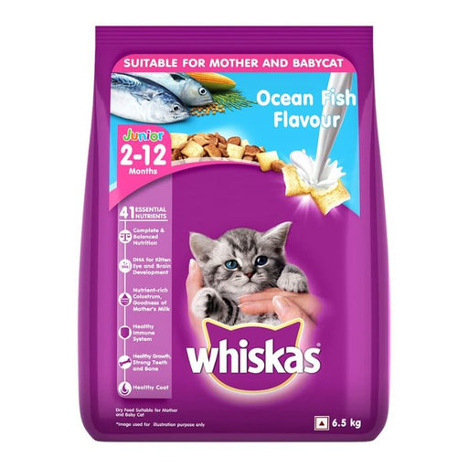 Best kitten dry food best sale