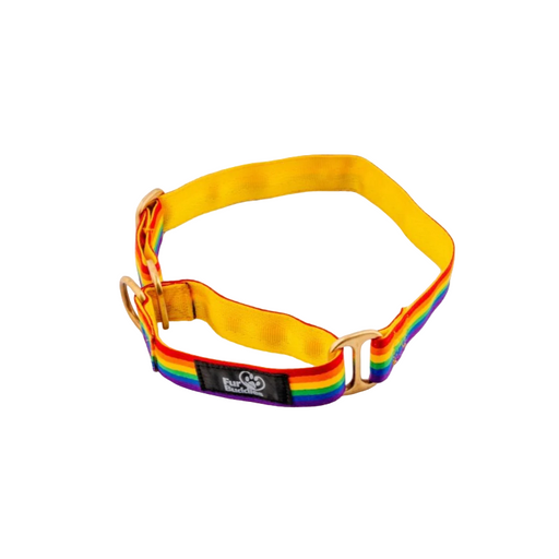 Furbuddies Martingale Collar For Dogs - Dhanak